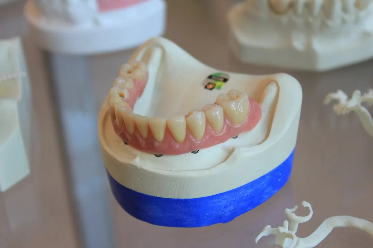 Complete denture on a model base